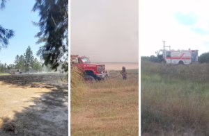 Incendios forestales 050225