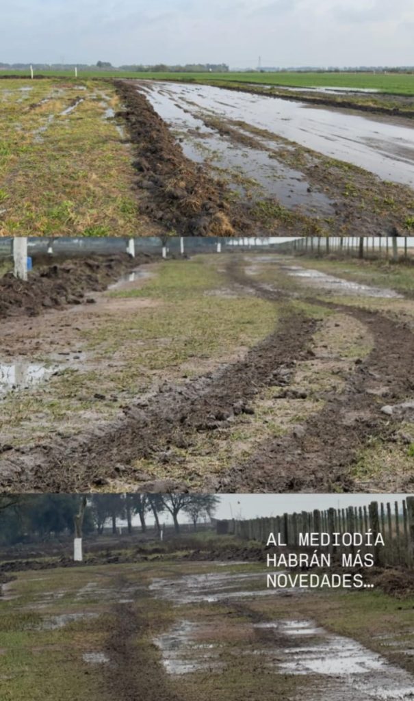 Foto: las imágenes que compartía un piloto acerca del estado del recorrido. 
