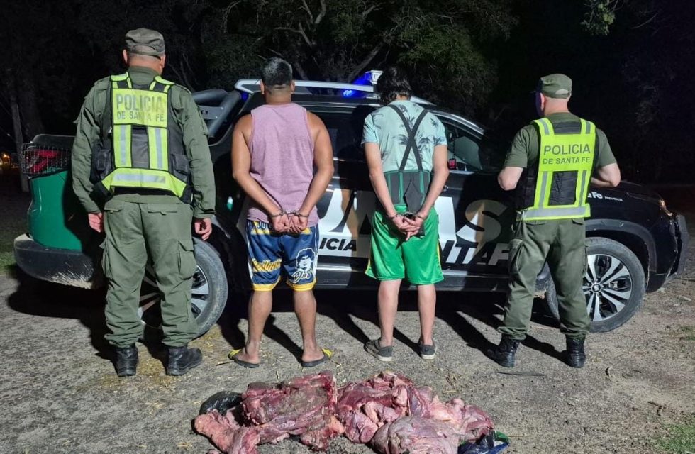 21796232-65d3-4b60-907b-0415ffcd8015