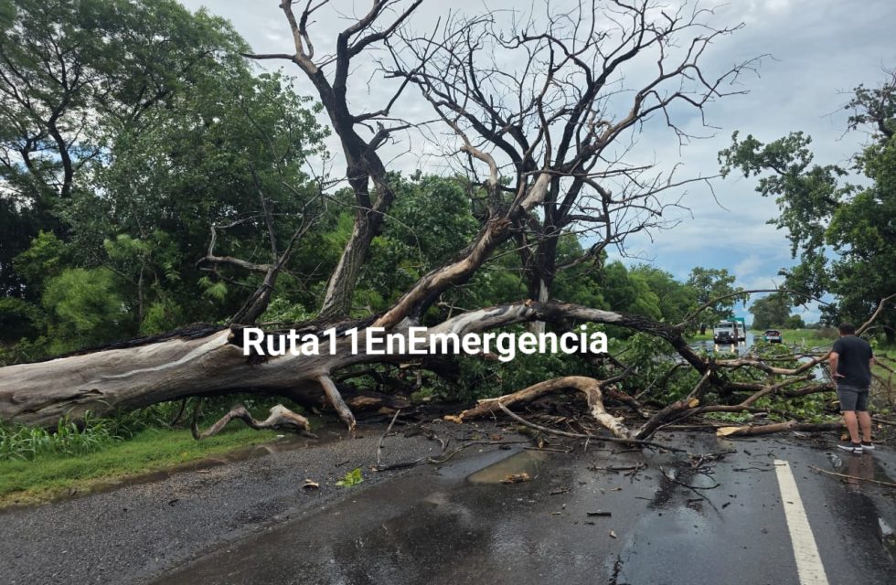 616164455_1194994252814127_1753569286376966509_n