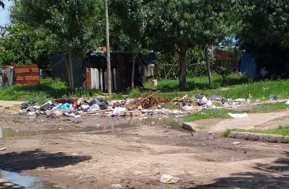 Basura calle tirada guadalupee