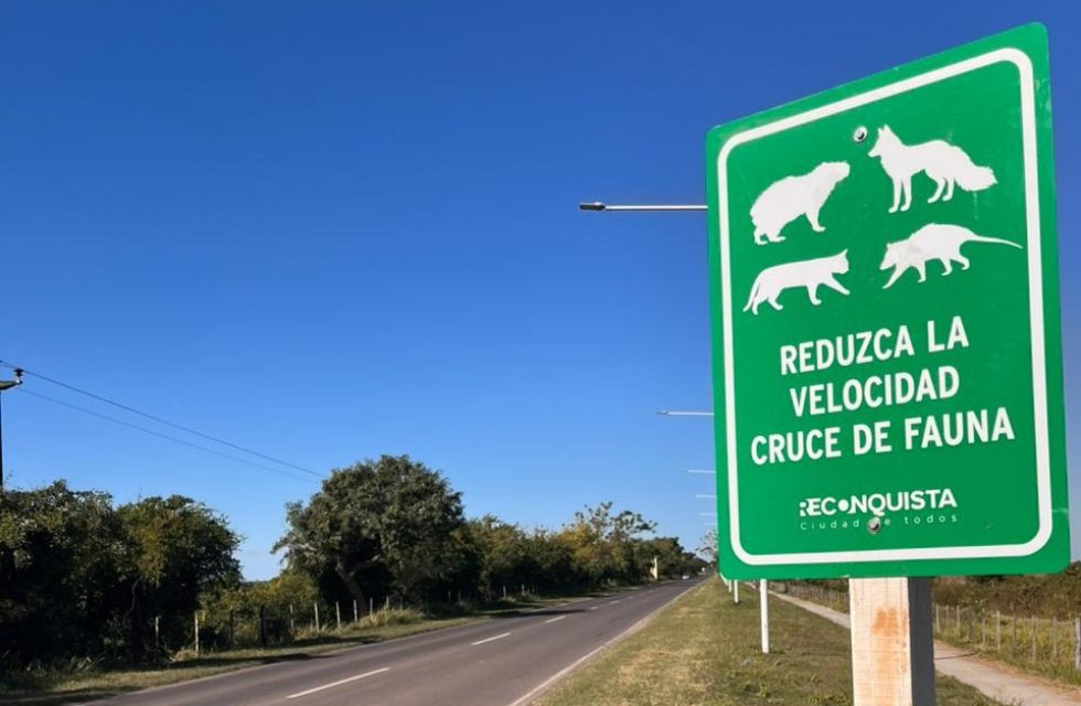 CARTEL-FAUNA