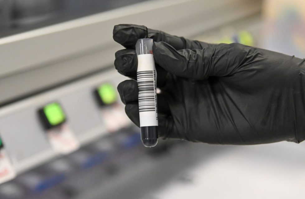 Imagen de WhatsApp 2025-05-11 a las 10.38.33_a102af68