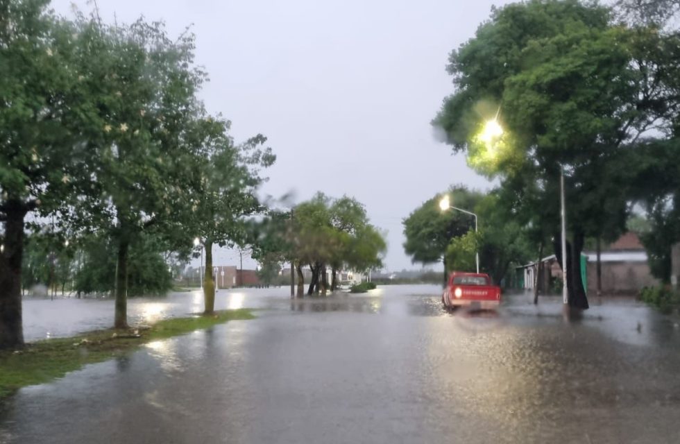 Imagen de WhatsApp 2025-05-18 a las 17.29.12_91614537