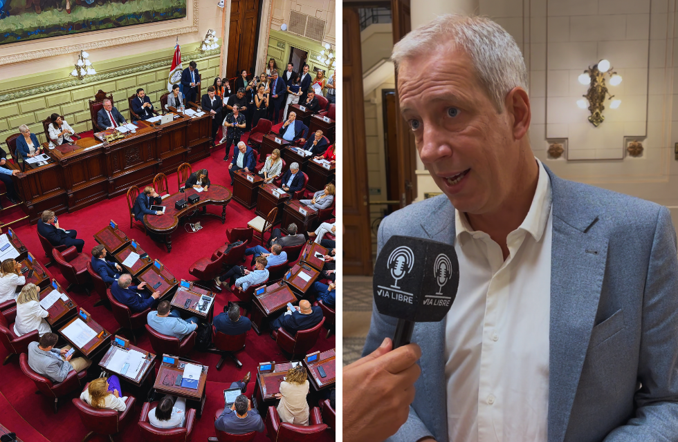 MEDIDAS PARA FOTO - PIERO