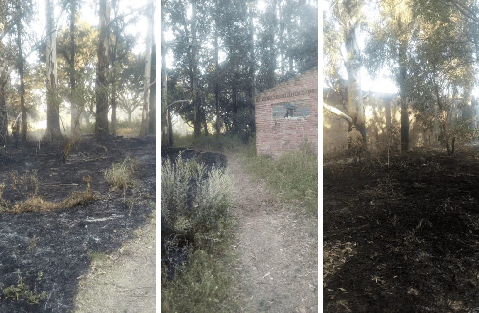 MEDIDAS PARA FOTO - VIA LIBRE 2024 (1)