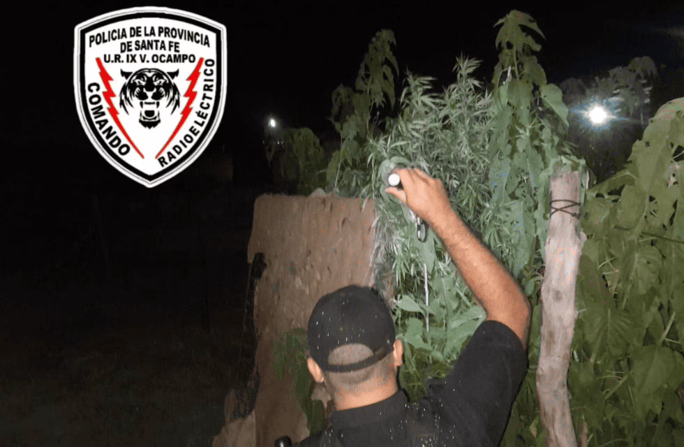 MEDIDAS PARA FOTO - VIA LIBRE 2024 (1)