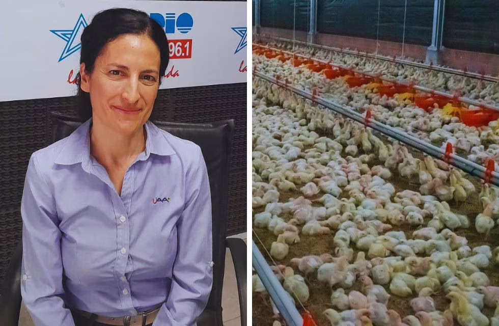 MEDIDAS PARA FOTO - VIA LIBRE 2024 (1)