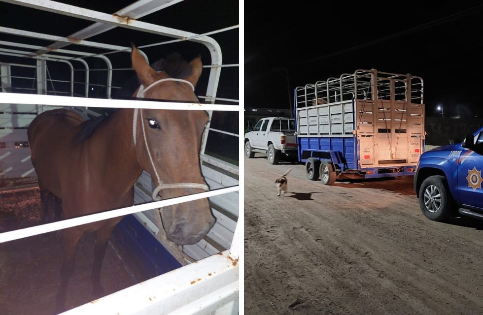 MEDIDAS PARA FOTO - VIA LIBRE 2024 (19)