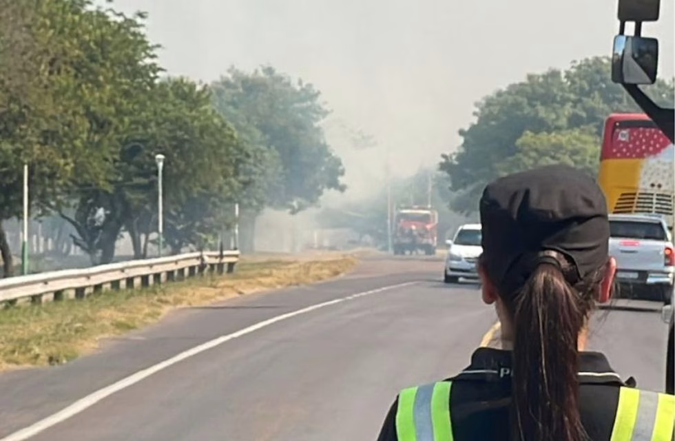 MEDIDAS PARA FOTO - VIA LIBRE 2024 - 2025-01-21T201910.600