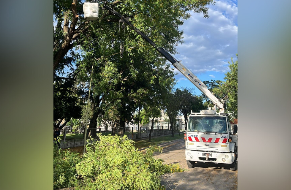 MEDIDAS PARA FOTO - VIA LIBRE 2024 (7)