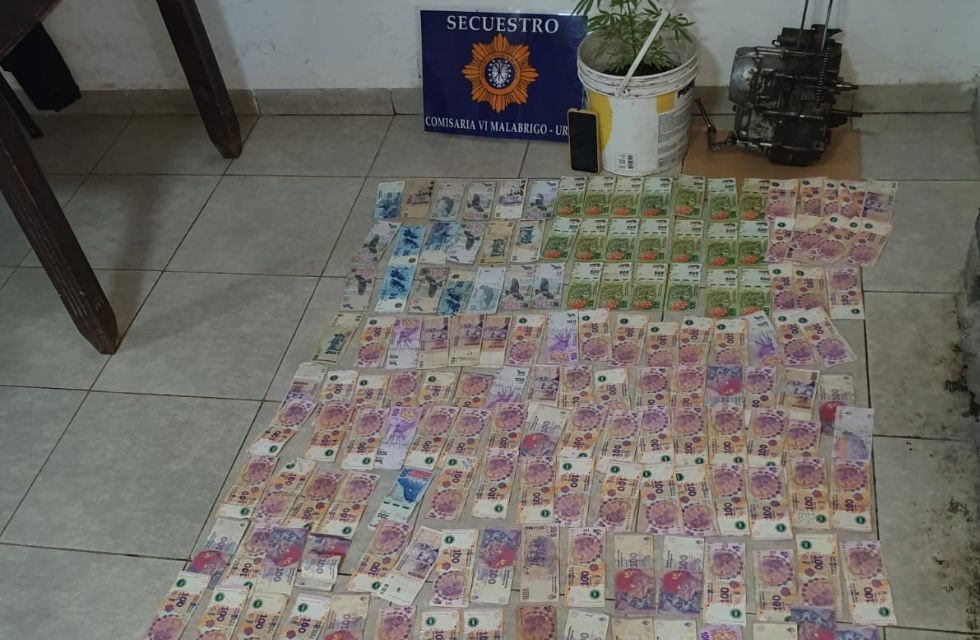 MEDIDAS PARA FOTO - VIA LIBRE 2024