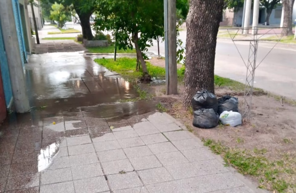 MEDIDAS PARA FOTO - VIA LIBRE 2024 (88)