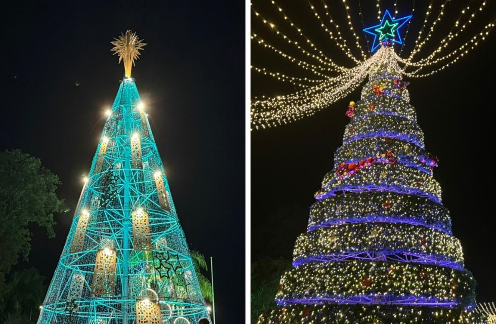 MEDIDAS PARA FOTO - VIA LIBRE 2025 (1)