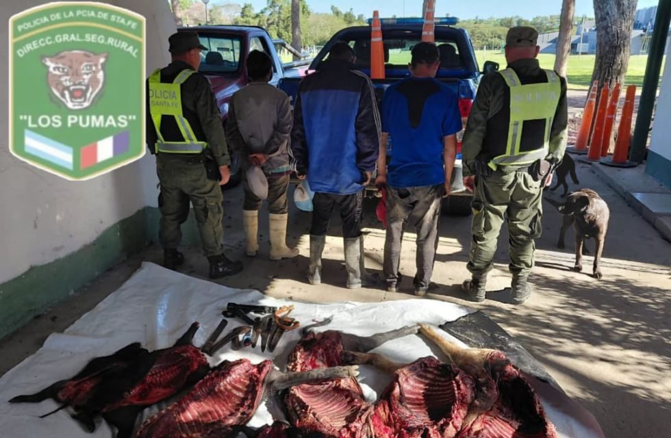 MEDIDAS PARA FOTO - VIA LIBRE 2025 (1)