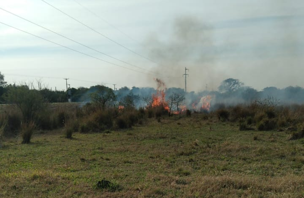 MEDIDAS PARA FOTO - VIA LIBRE 2025