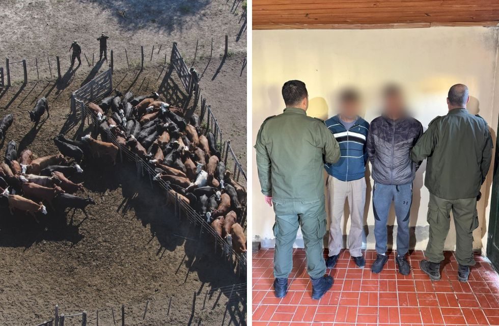 MEDIDAS PARA FOTO - VIA LIBRE 2025