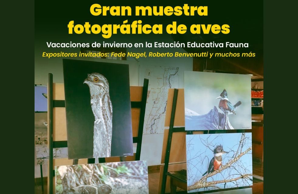 MEDIDAS PARA FOTO - VIA LIBRE 2025 - 2025-07-07T232545.836