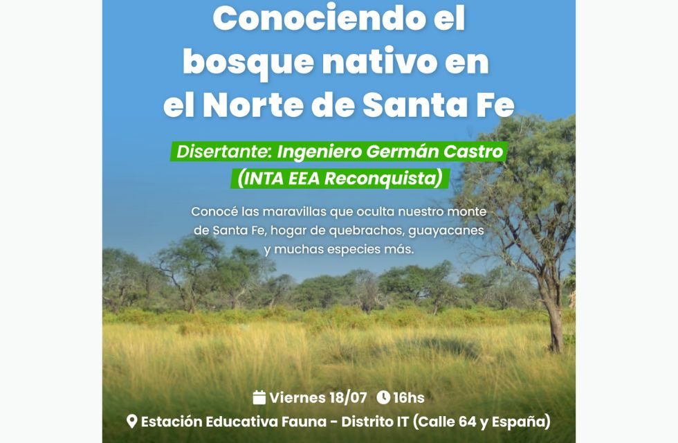 MEDIDAS PARA FOTO - VIA LIBRE 2025 - 2025-07-14T205715.525