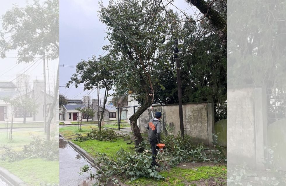 MEDIDAS PARA FOTO - VIA LIBRE 2025 - 2025-07-25T203805.880