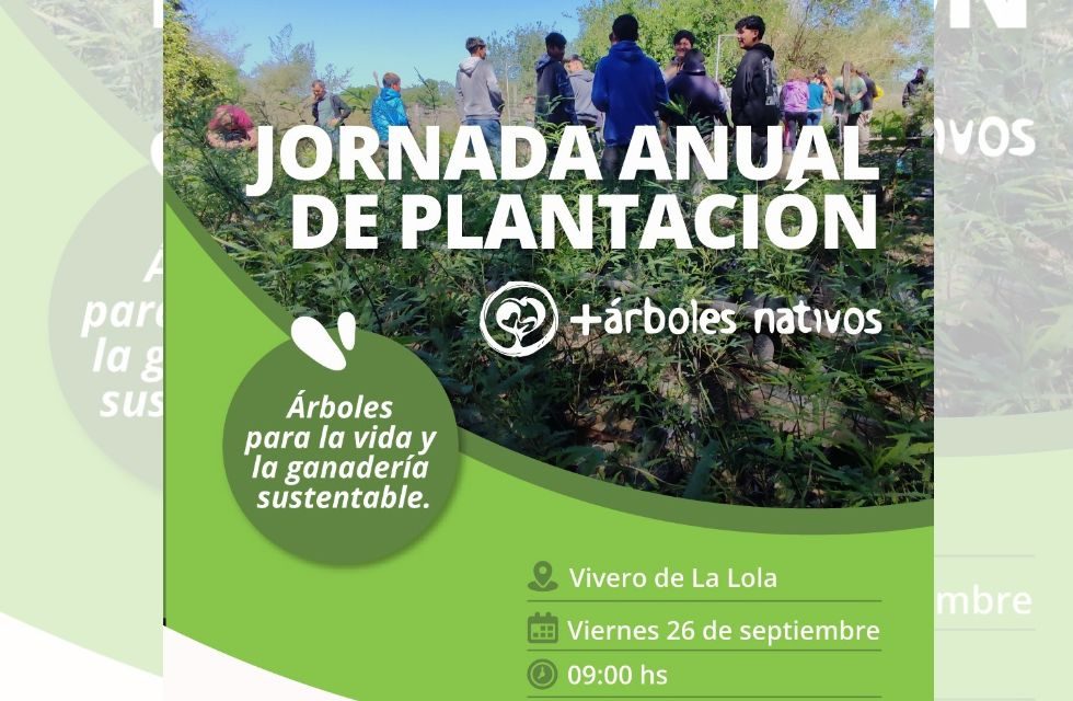 MEDIDAS PARA FOTO - VIA LIBRE 2025 - 2025-09-25T222418.372