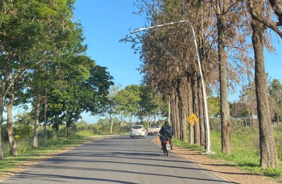 Camino Héroes de Malvinas