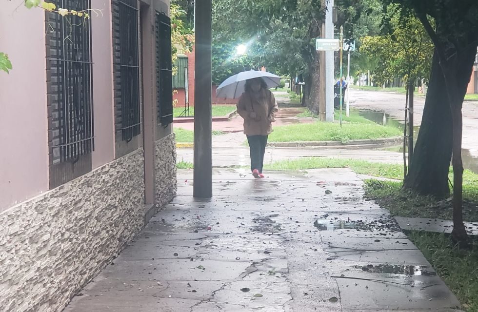 MEDIDAS PARA FOTO - VIA LIBRE 2025