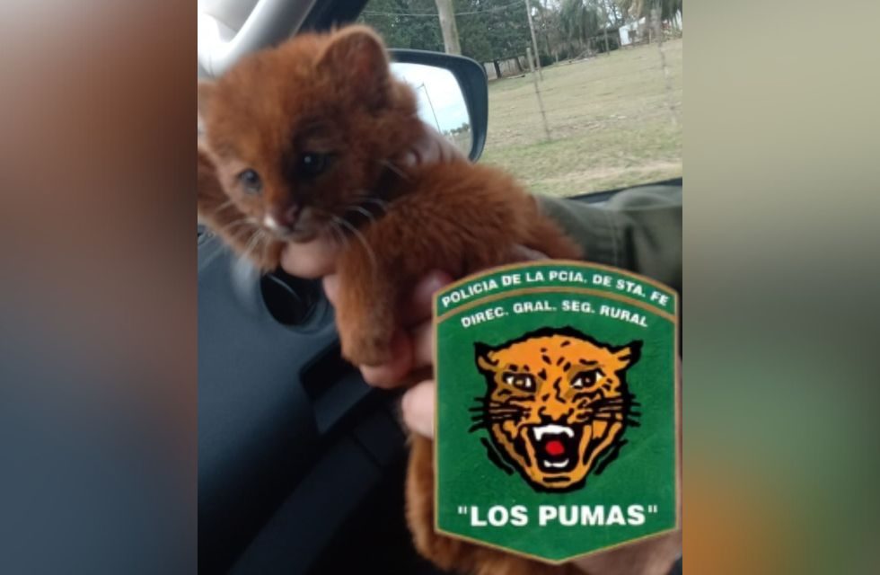 MEDIDAS PARA FOTO - VIA LIBRE 2025