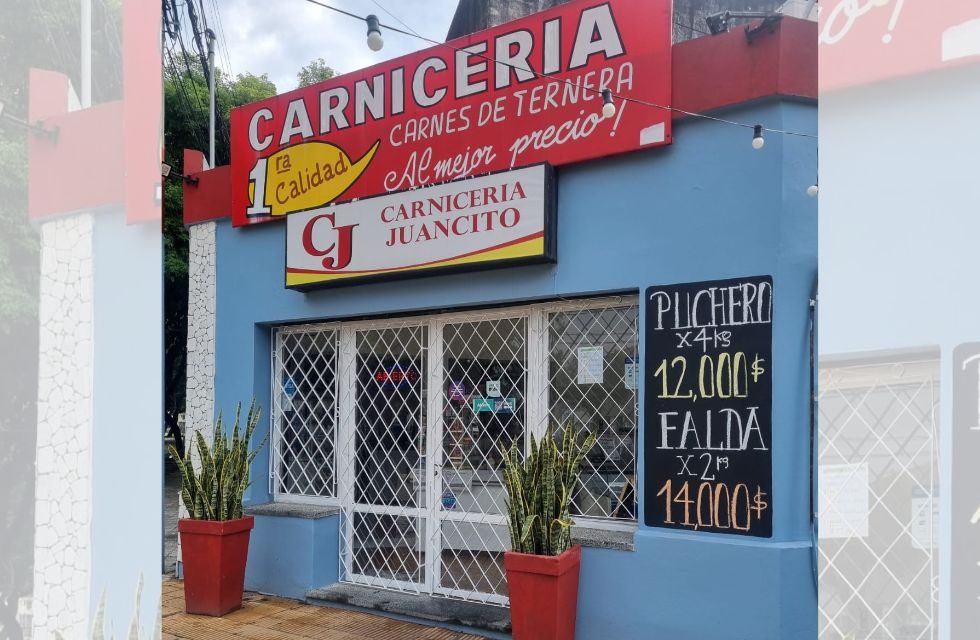 MEDIDAS PARA FOTO - VIA LIBRE 2025 (43)