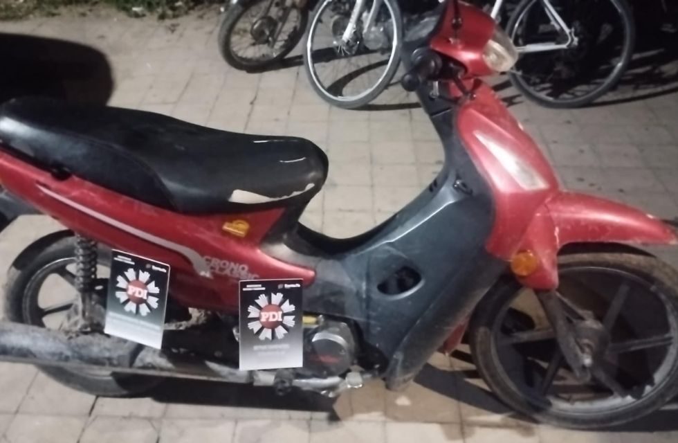 MEDIDAS PARA FOTO - VIA LIBRE 2025