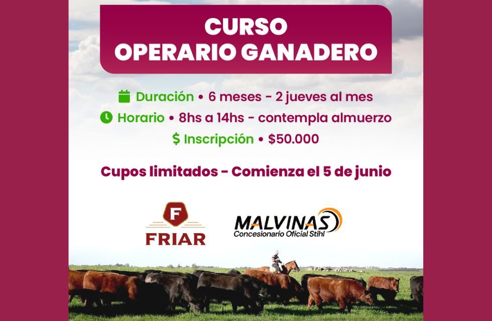 MEDIDAS PARA FOTO - VIA LIBRE 2025 (61)