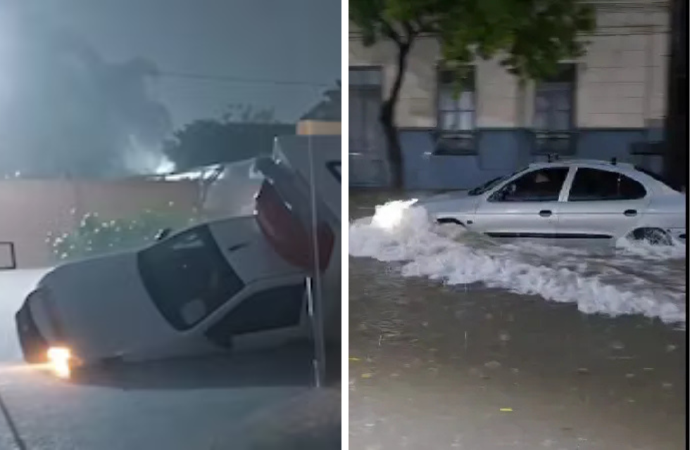 MEDIDAS PARA FOTO - VIA LIBRE 2025 (62)