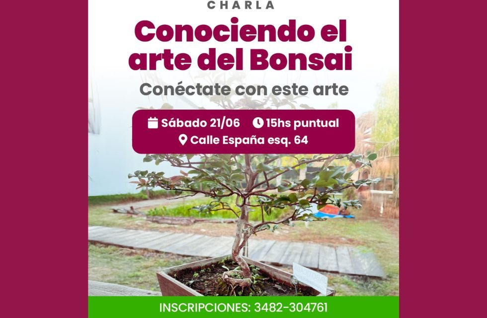 bonsai