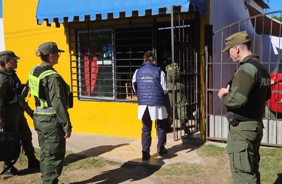 PORTADA-ASSAL-LOS-PUMAS