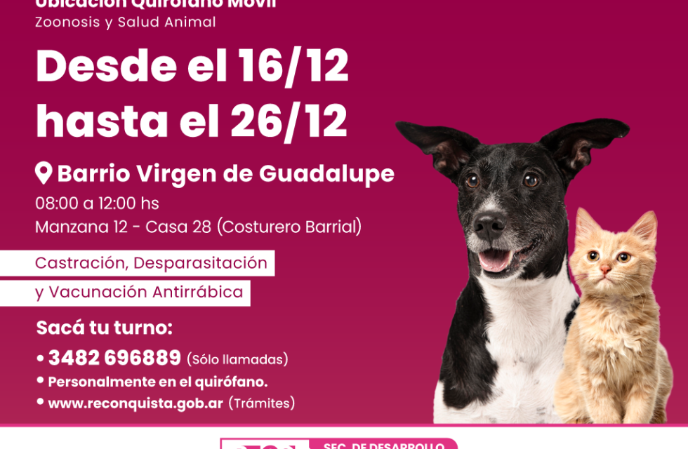 Quirofano-Movil-16-12-al-26-12_4-3