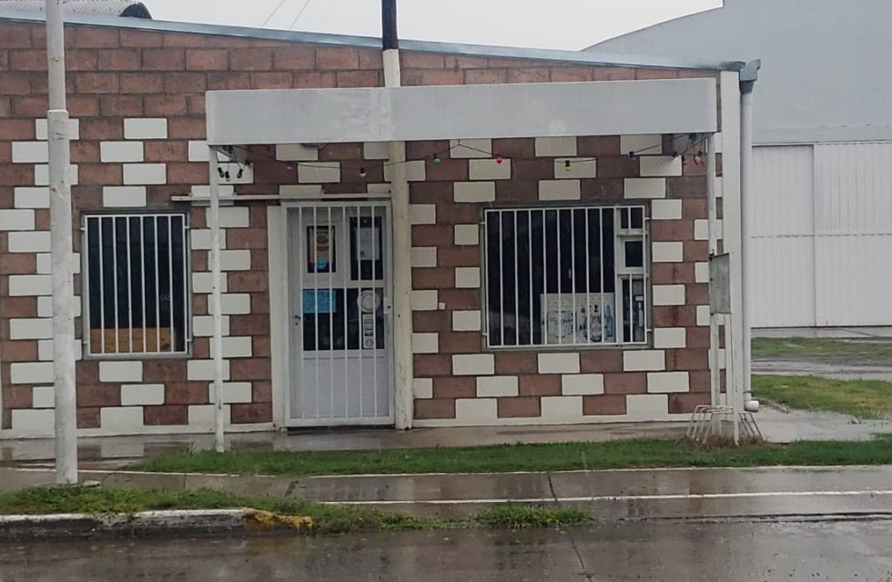 WhatsApp Image 2024-11-26 at 11.50.37 AM