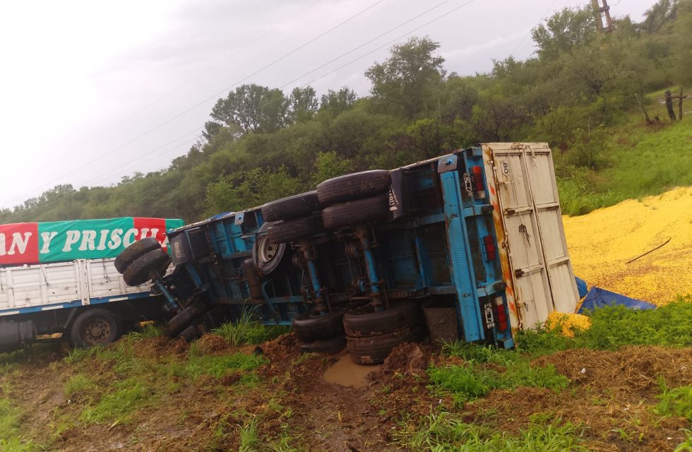 WhatsApp Image 2024-11-27 at 11.54.41 AM