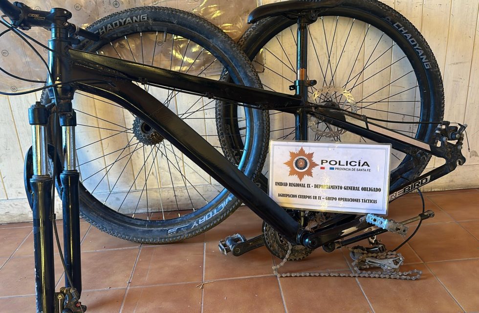 WhatsApp Image 2024-12-26 at 21.14.53