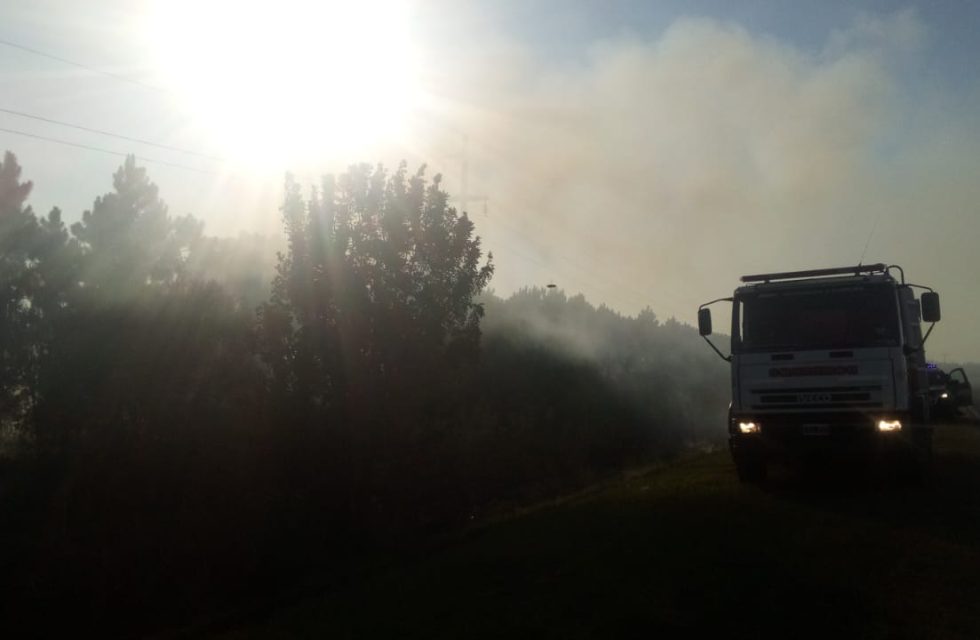 WhatsApp Image 2024-12-30 at 20.39.05