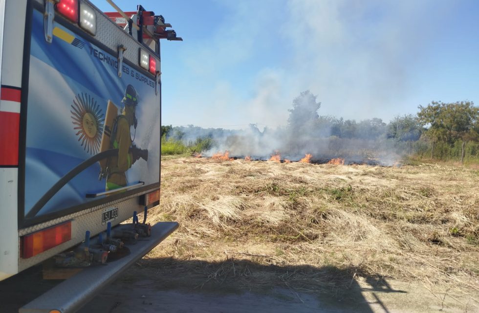 WhatsApp Image 2025-01-04 at 11.22.44 AM (1)