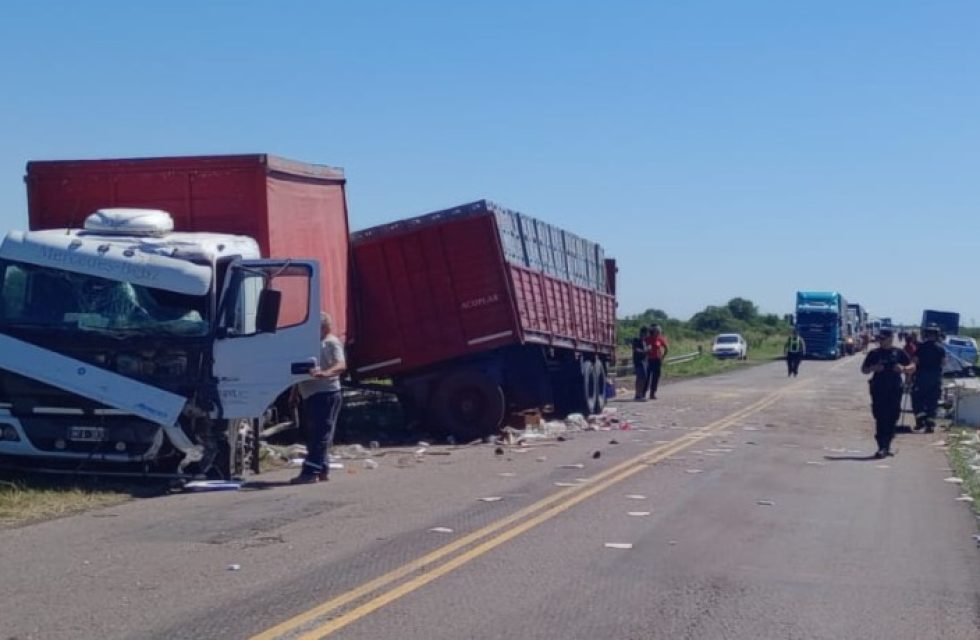 WhatsApp Image 2025-01-04 at 11.45.34 AM