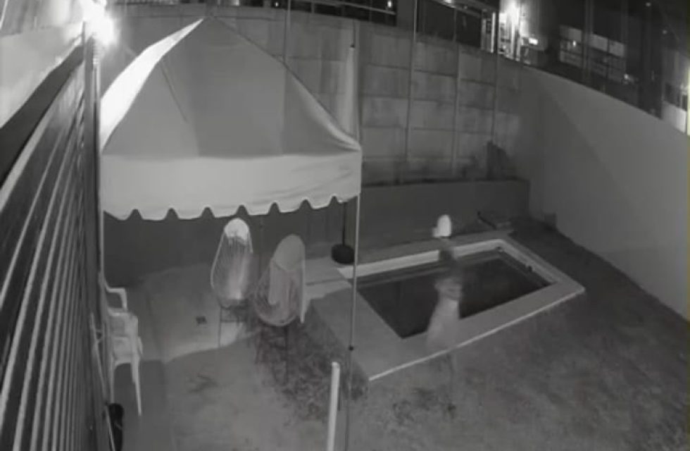 WhatsApp Image 2025-01-06 at 20.59.34