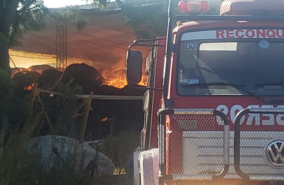 WhatsApp Image 2025-01-06 at 8.20.50 AM