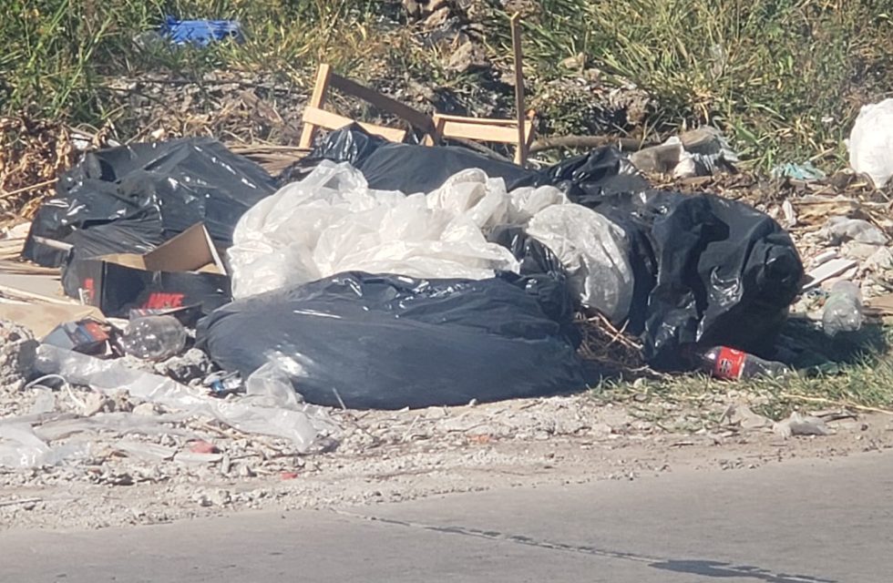 WhatsApp Image 2025-01-10 at 9.39.35 AM