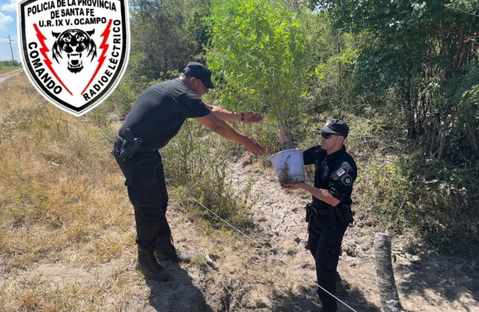 WhatsApp Image 2025-01-11 at 14.51.26