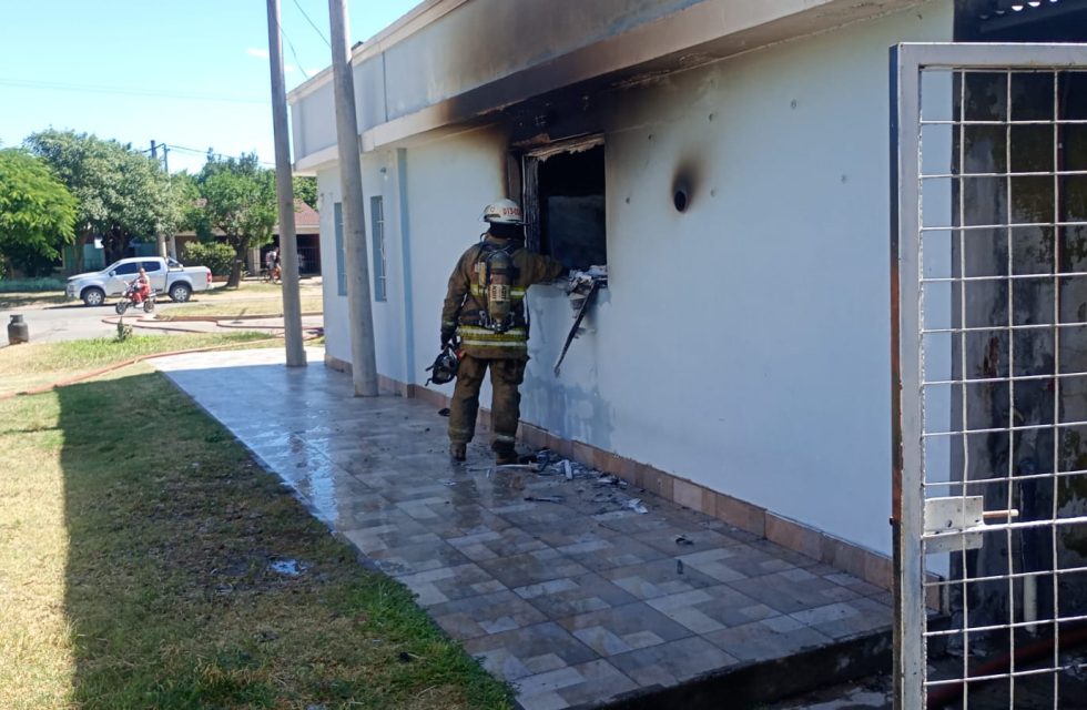 WhatsApp Image 2025-01-11 at 17.57.13