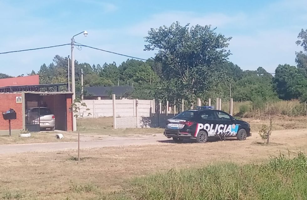 WhatsApp Image 2025-01-13 at 11.20.49 AM