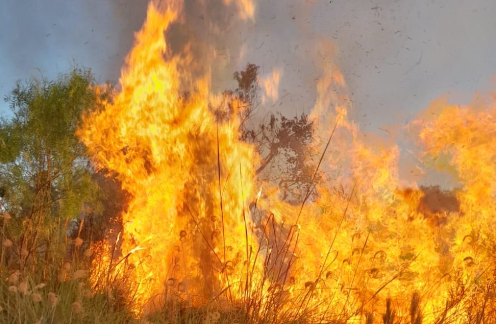 WhatsApp Image 2025-01-13 at 2.55.30 PM