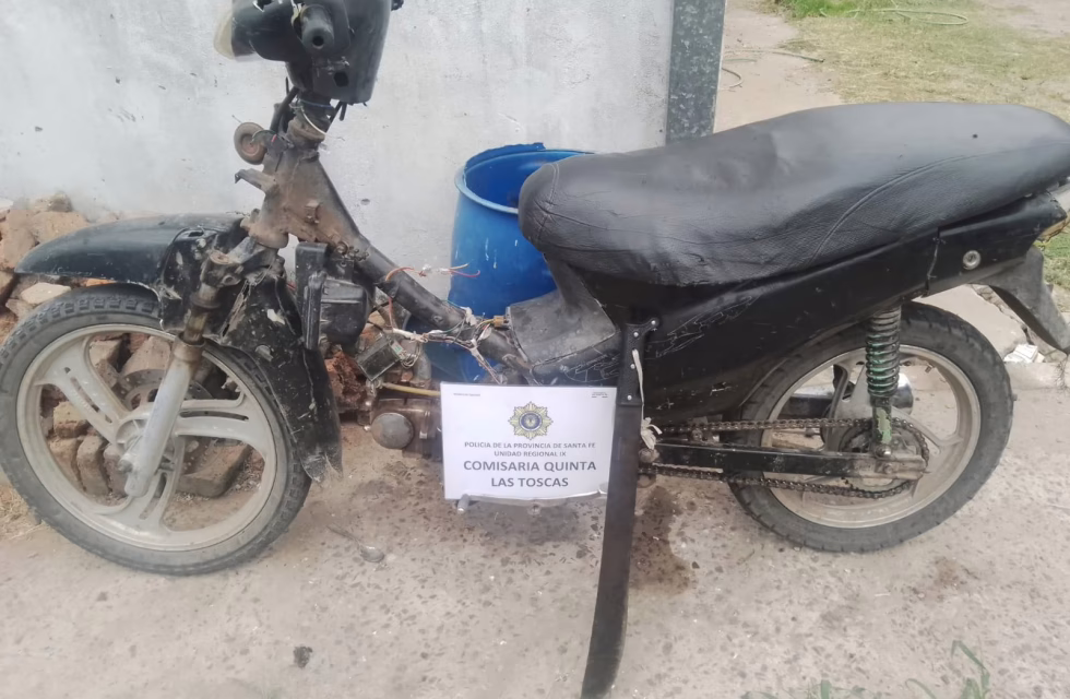 WhatsApp Image 2025-01-19 at 12.59.11