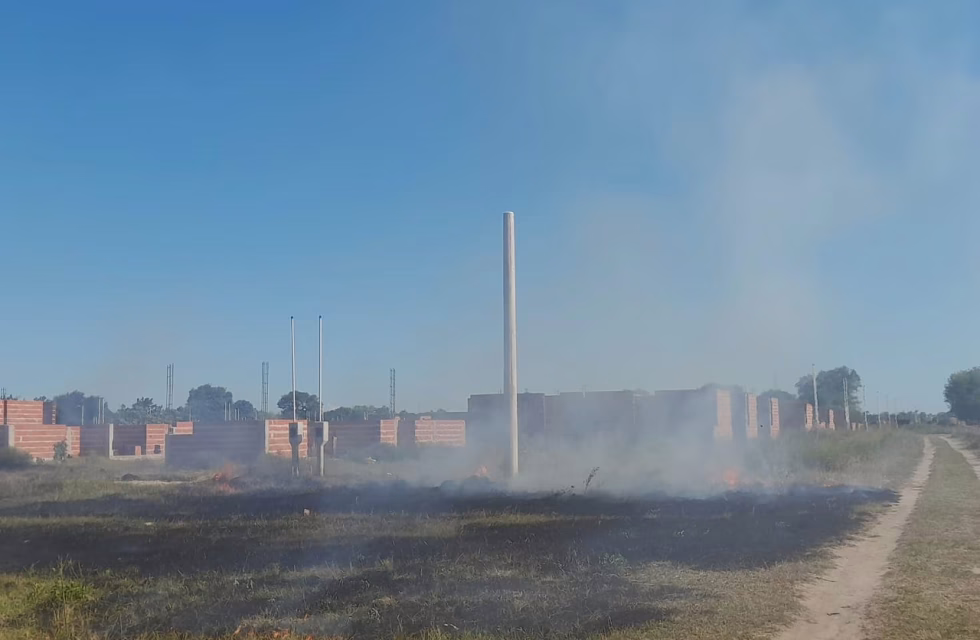 WhatsApp Image 2025-01-27 at 20.13.53